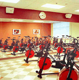 healthtrax international lighting system